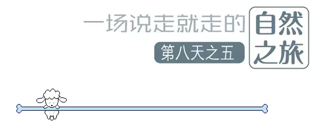 國(guó)際搬家